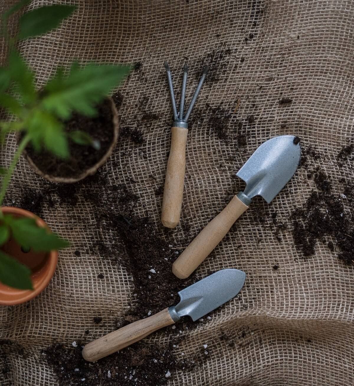 10 Gardening Resolutions for the Year 10 Gardening Resolutions for the Year
