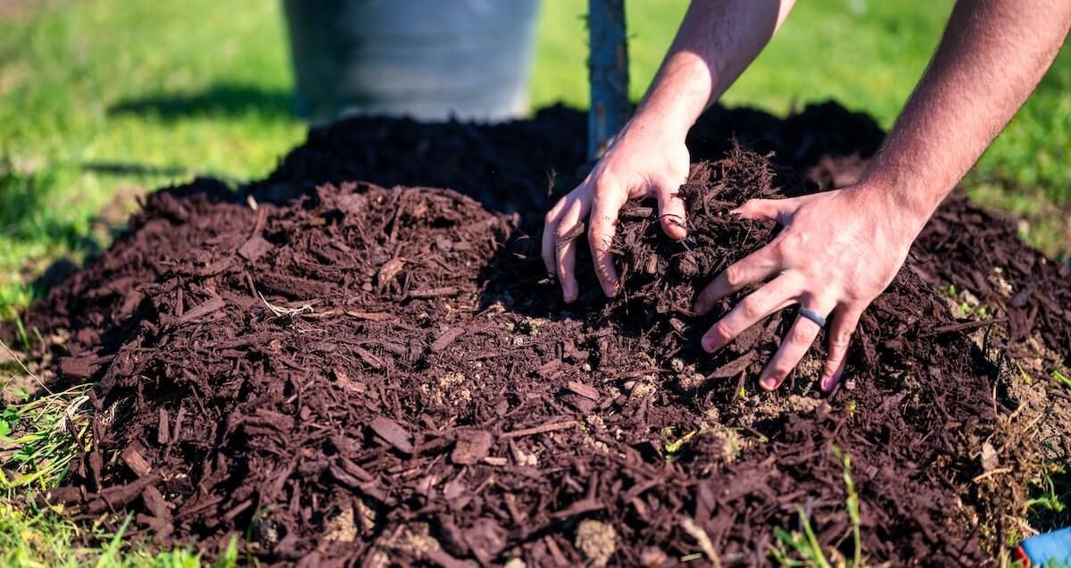 The Complete Mulch Guide The Complete Mulch Guide