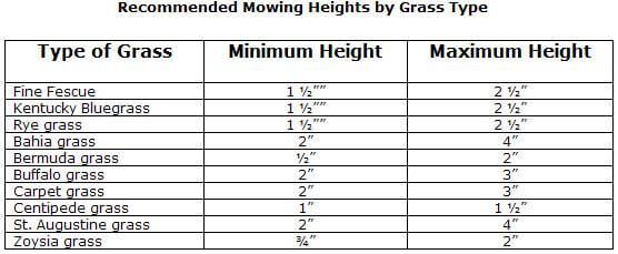 Lawn Mowing Height