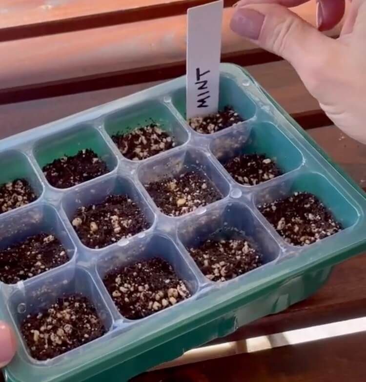 Mark your seedling flats