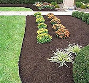 Summer Mulch Landscape