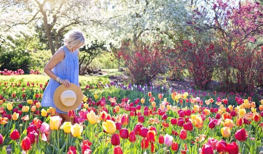 Easy Ways to Beautify Your Lawn Easy Ways to Beautify Your Lawn