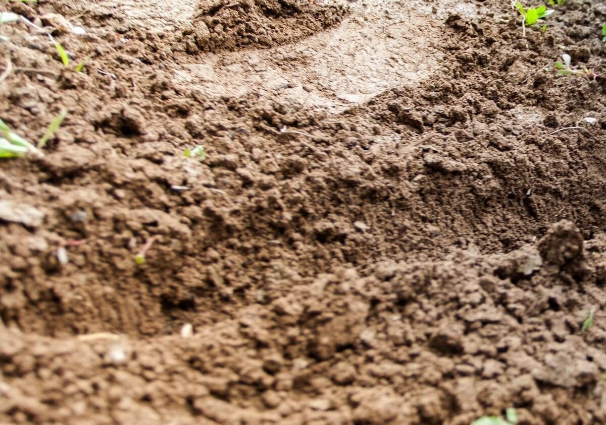 Care For Your Soil Structure Care For Your Soil Structure