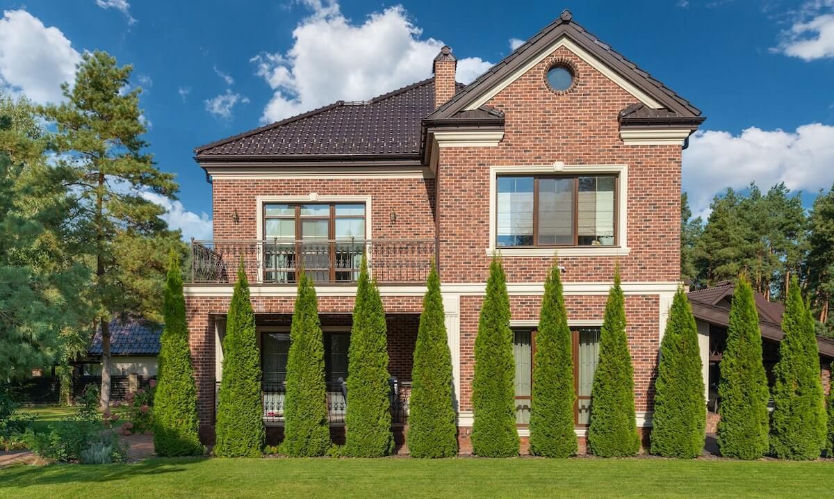 Tips: Choose Conifers For Your Yard Tips: Choose Conifers For Your Yard