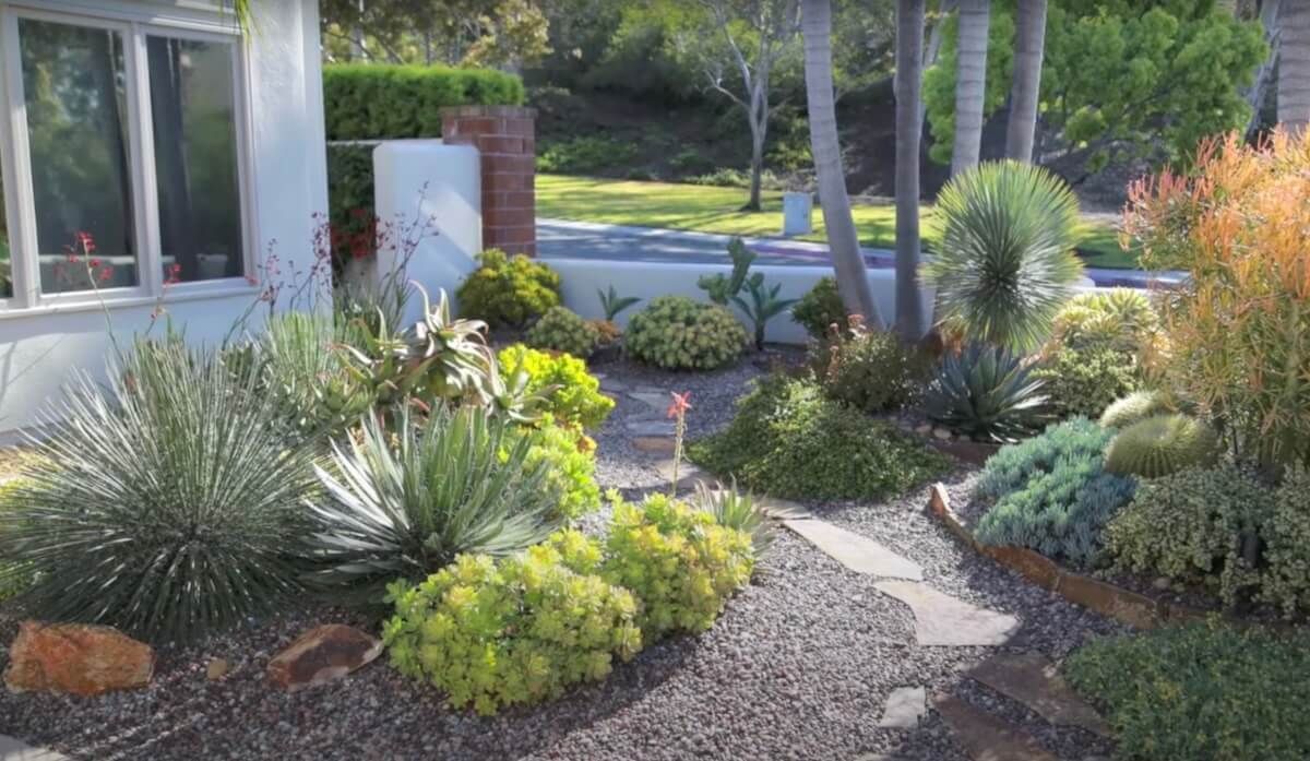 Desert Landscaping Advice Desert Landscaping Advice