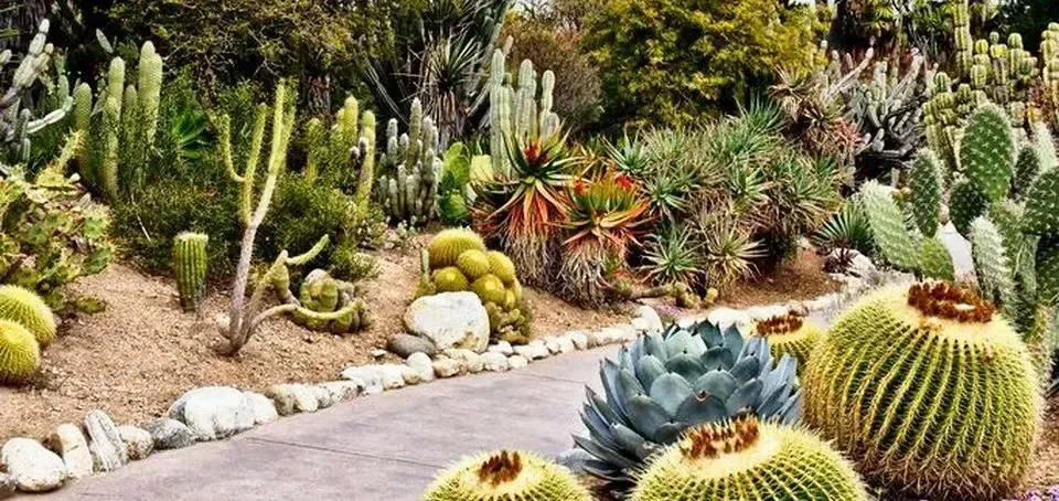 Concrete Blocks & Desert Landscaping Ideas Concrete Blocks & Desert Landscaping Ideas