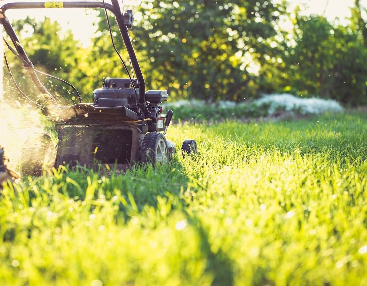 The Guide to Fertilizers and Lawn Care The Guide to Fertilizers and Lawn Care
