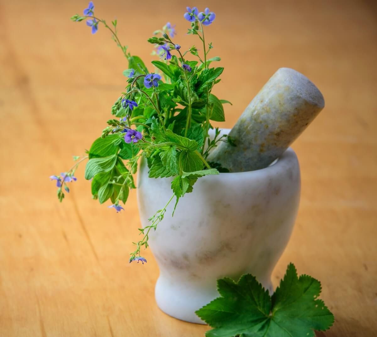 Great Medicinal Uses of Garden Herbs! Great Medicinal Uses of Garden Herbs!