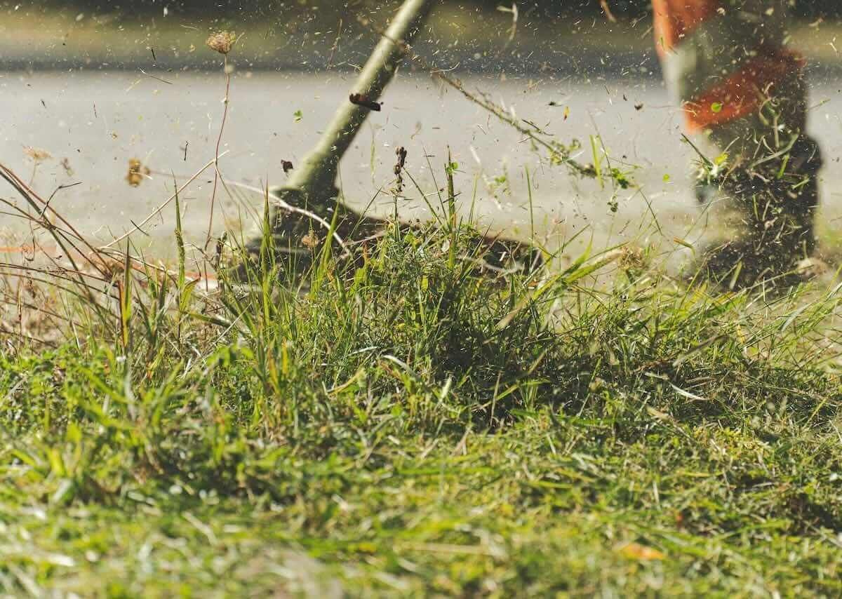 The Essential Guide to Lawn Mowing for a Perfectly Manicured Lawn The Essential Guide to Lawn Mowing for a Perfectly Manicured Lawn