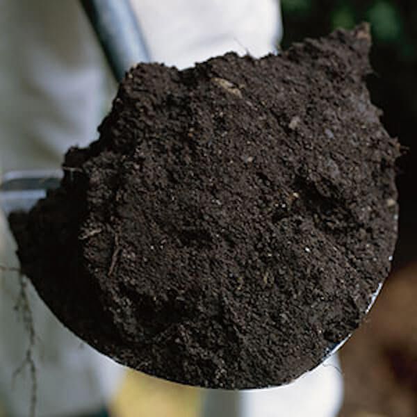 Soil Nitrogen Content Soil Nitrogen Content