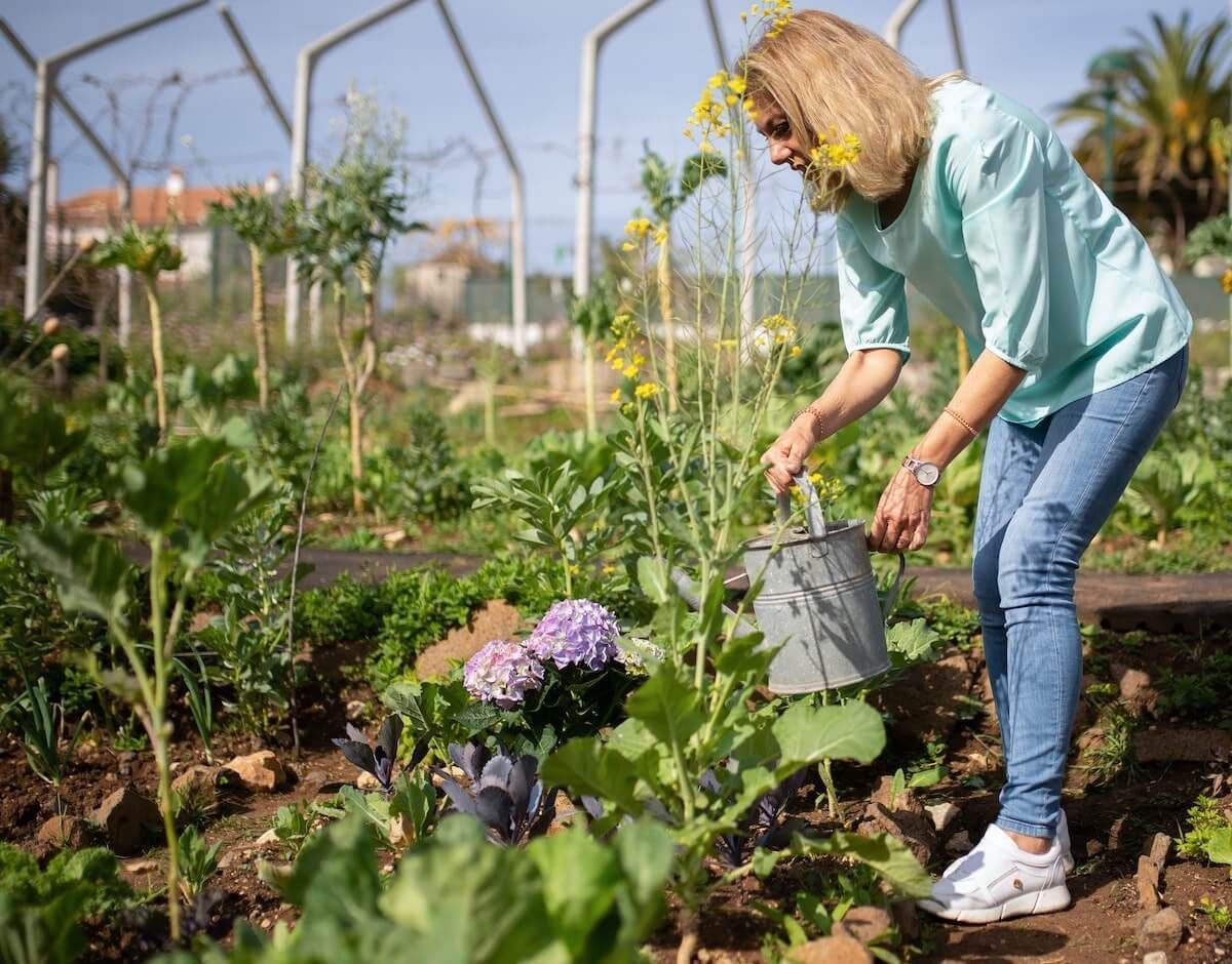 Itchy Green Thumb? Three Easy Ways to Get Gardening Now! Itchy Green Thumb? Three Easy Ways to Get Gardening Now!