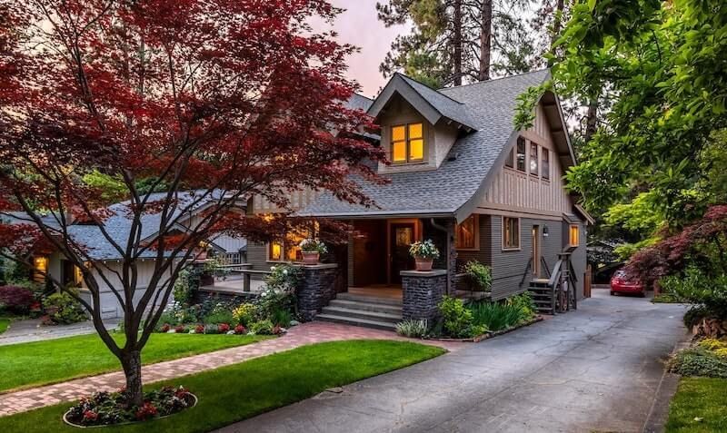 Tree Buying Guide Tree Buying Guide