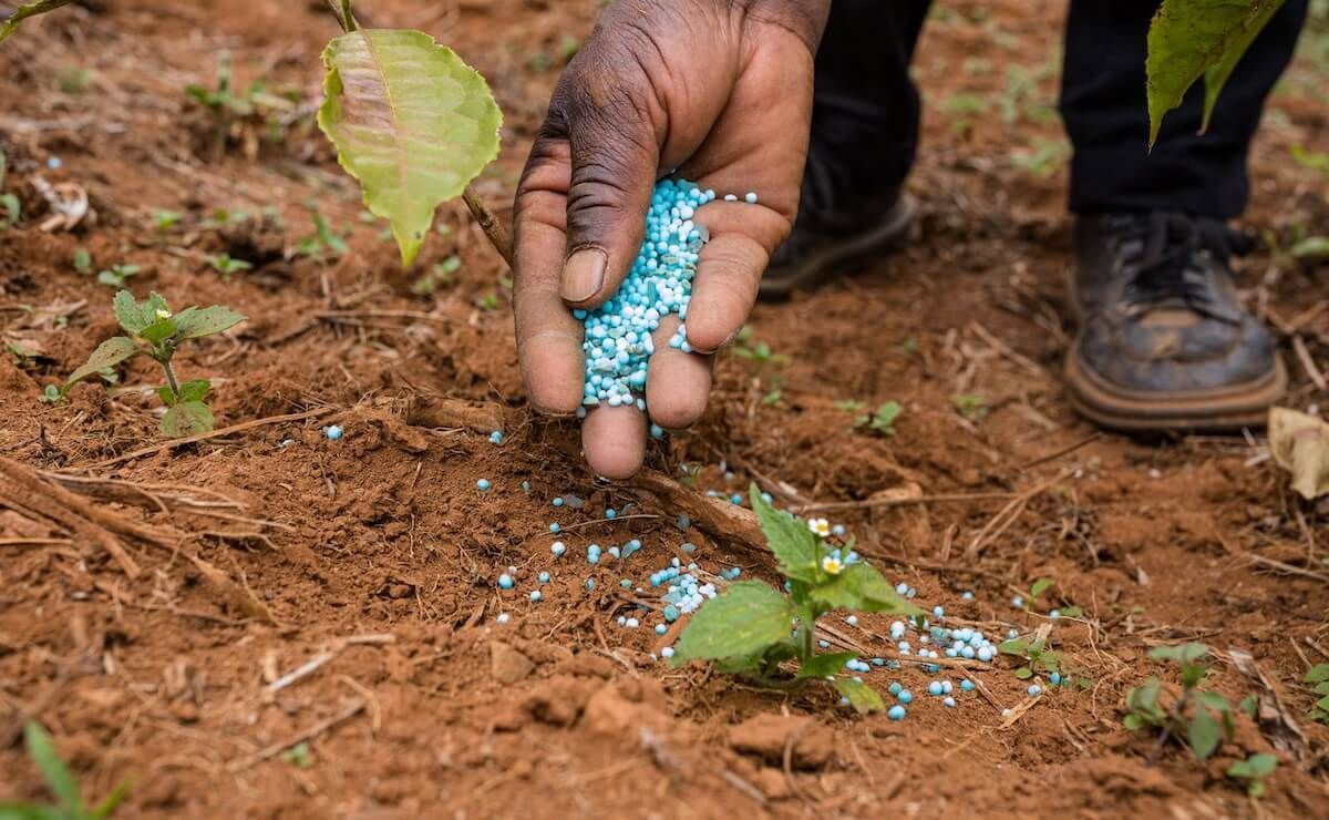 What is the Plant Nutrients What is the Plant Nutrients