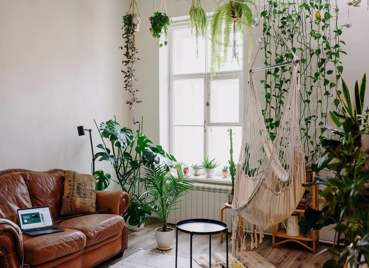 Imagine if Your Houseplant Could Tweet You When It Needs Water Imagine if Your Houseplant Could Tweet You When It Needs Water